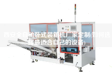 西安全自動(dòng)臥式裝箱機(jī)廠家定制(如何選擇z適合自己的設(shè)備)