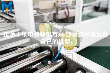 拉薩干紙巾裝箱機方案(如何選擇z適合自己的機型)