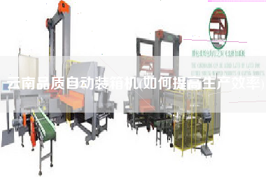 云南品質(zhì)自動(dòng)裝箱機(jī)(如何提高生產(chǎn)效率)