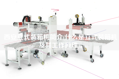 西安立式裝箱機簡介(什么是立式裝箱機及其工作原理)。 西安立式裝箱機簡介(什么是立式裝箱機及其工作原理)。