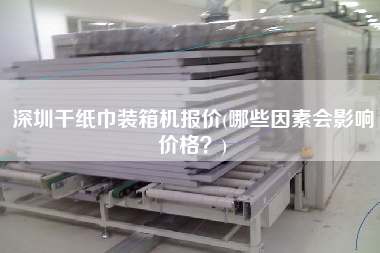 深圳干紙巾裝箱機(jī)報(bào)價(jià)(哪些因素會(huì)影響價(jià)格？)