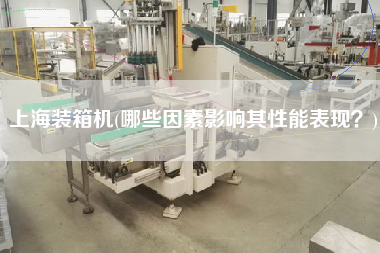 上海裝箱機(jī)(哪些因素影響其性能表現(xiàn)？)