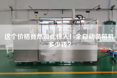 這個價格竟然如此驚人！全自動裝箱機(jī)多少錢？