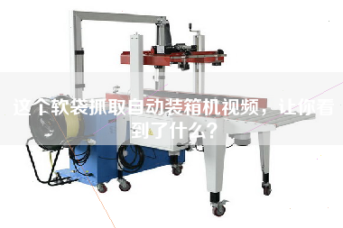 這個軟袋抓取自動裝箱機視頻，讓你看到了什么？