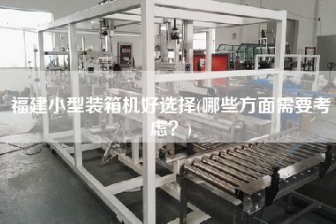 福建小型裝箱機好選擇(哪些方面需要考慮？)