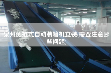 泉州側(cè)推式自動(dòng)裝箱機(jī)安裝(需要注意哪些問題)