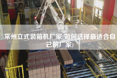 常州立式裝箱機(jī)廠家(如何選擇z適合自己的廠家) 常州立式裝箱機(jī)廠家(如何選擇z適合自己的廠家)