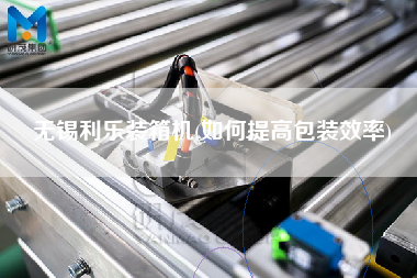 無(wú)錫利樂(lè)裝箱機(jī)(如何提高包裝效率)