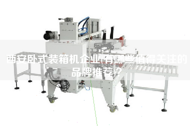 西安臥式裝箱機(jī)企業(yè)(有哪些值得關(guān)注的品牌推薦)? 西安臥式裝箱機(jī)企業(yè)(有哪些值得關(guān)注的品牌推薦)?