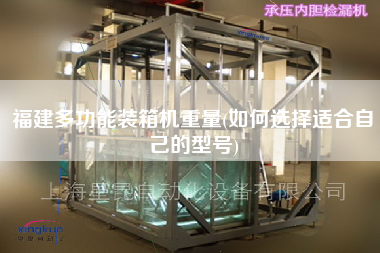 福建多功能裝箱機(jī)重量(如何選擇適合自己的型號(hào)) 福建多功能裝箱機(jī)重量(如何選擇適合自己的型號(hào))