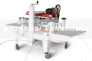 蘇州裝箱機設(shè)備廠家為何成為行業(yè)**者? 蘇州裝箱機設(shè)備廠家為何成為行業(yè)**者?