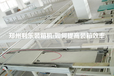 鄭州利樂裝箱機(如何提高裝箱效率) 鄭州利樂裝箱機(如何提高裝箱效率)
