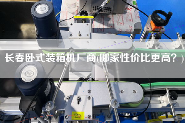 長春臥式裝箱機廠商(哪家性價比z高？)