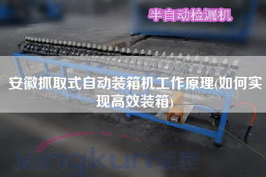 安徽抓取式自動裝箱機(jī)工作原理(如何實現(xiàn)高效裝箱) 安徽抓取式自動裝箱機(jī)工作原理(如何實現(xiàn)高效裝箱)