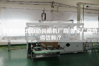 杭州抓取式自動裝箱機廠商(哪家廠商值得信賴)？