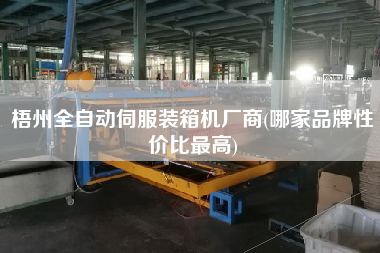 梧州全自動伺服裝箱機(jī)廠商(哪家品牌性價(jià)比z高) 梧州全自動伺服裝箱機(jī)廠商(哪家品牌性價(jià)比z高)