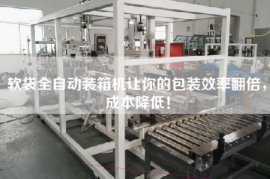 軟袋全自動(dòng)裝箱機(jī)讓你的包裝效率翻倍，成本降低！